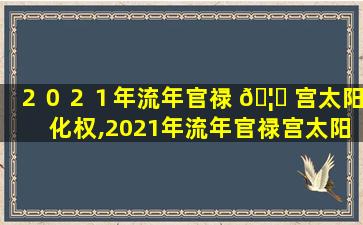 ２０２１年流年官禄 🦁 宫太阳化权,2021年流年官禄宫太阳化权